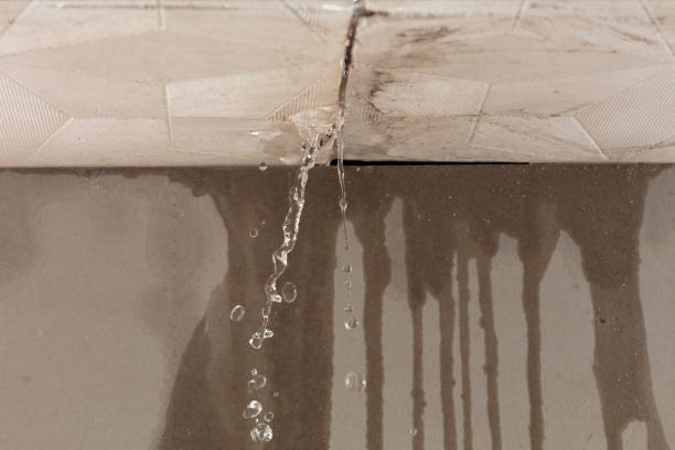 Professional Water Damage Repair technician working in DeKalb, IL